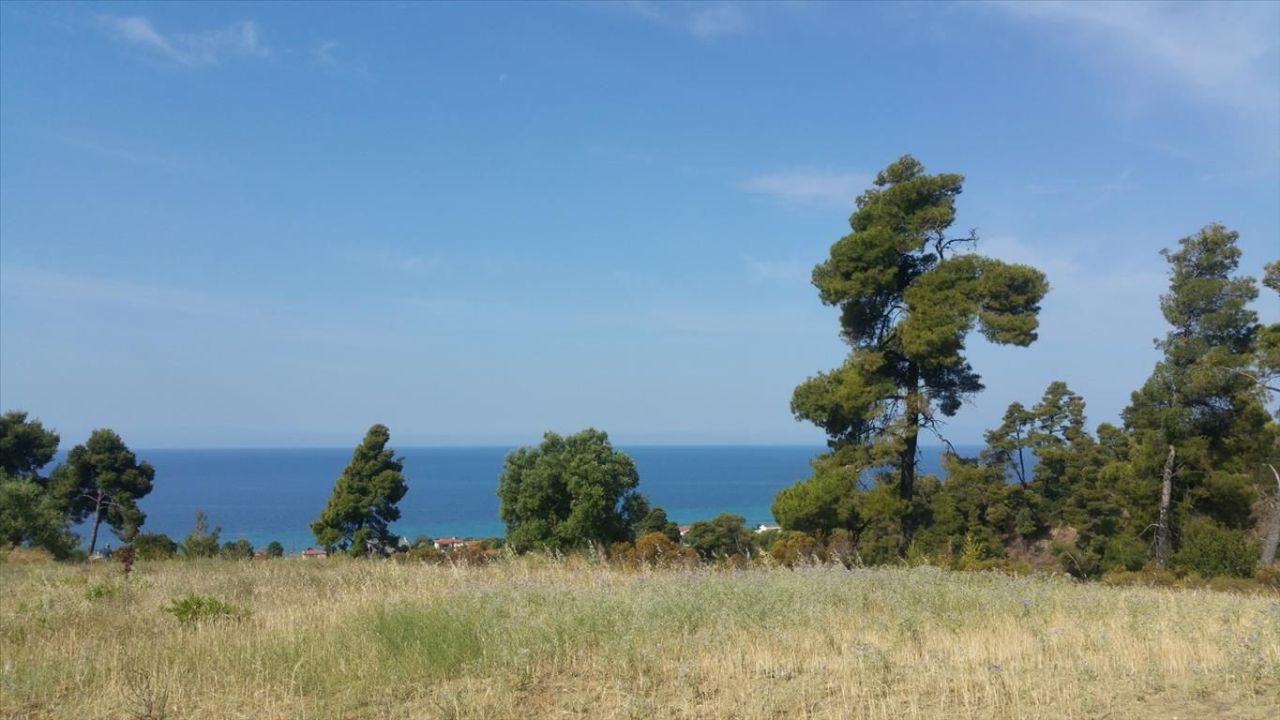 Land in Kassandra, Greece, 4 062 m² - picture 2