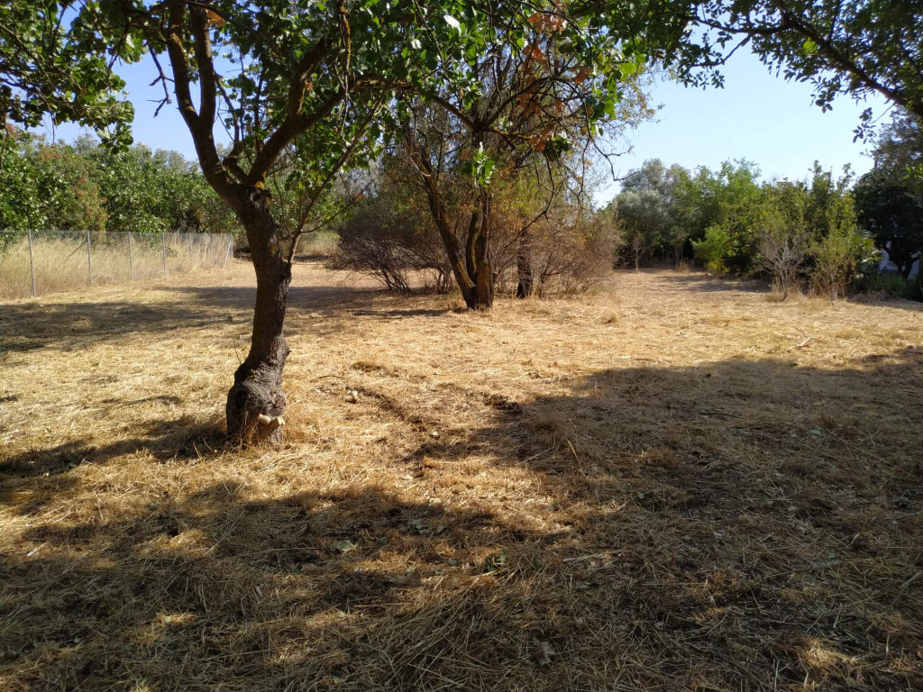 Terrain à Athènes, Grèce, 530 m² - image 2