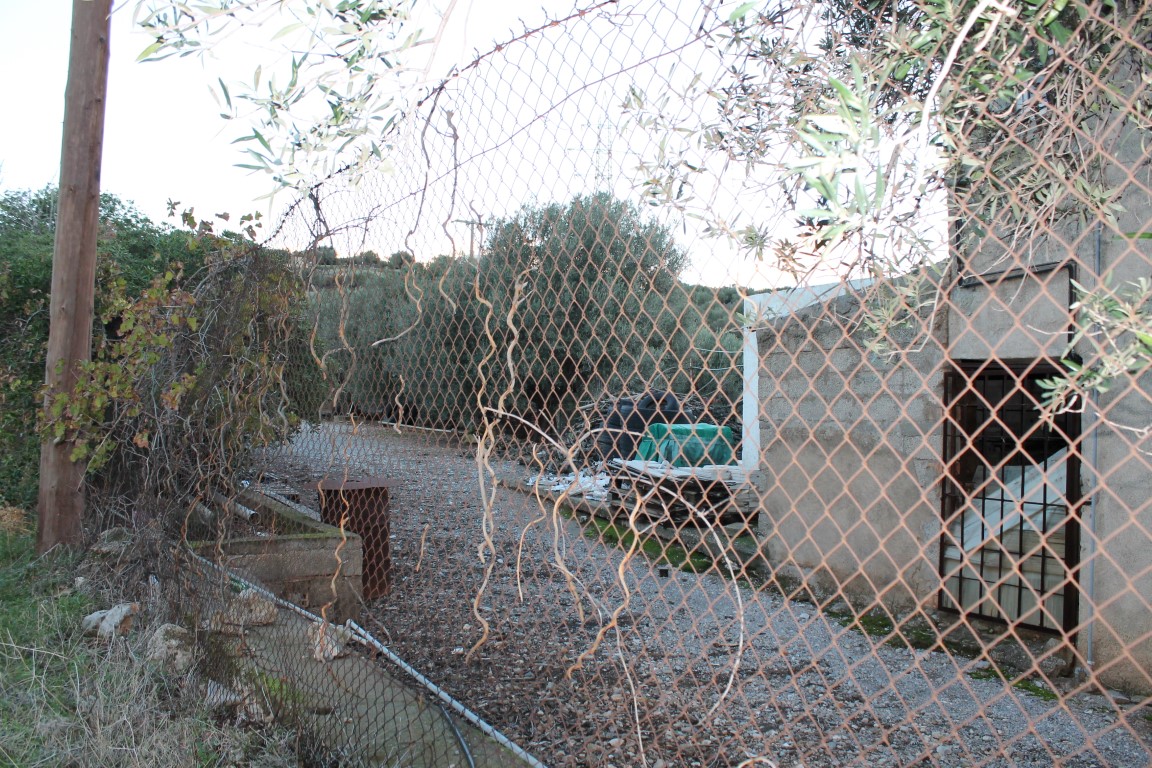 Terreno en Heraclión, Grecia, 2 372 m² - imagen 2