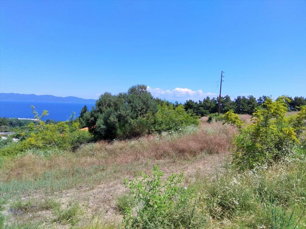 Terreno a Calcidica, Grecia, 11 000 m2 - foto 2