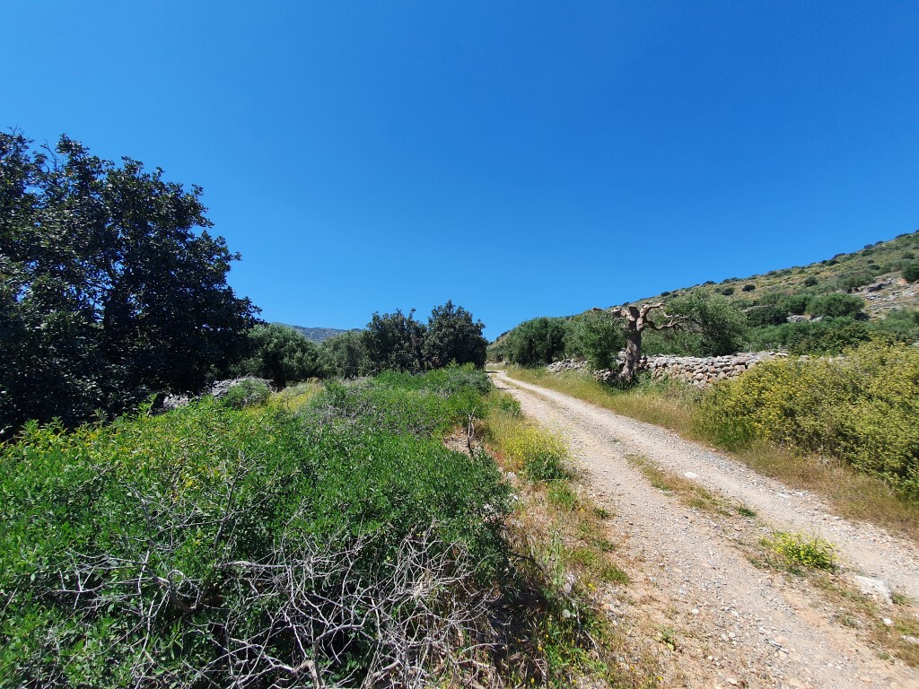 Land in Heraklion, Greece, 7 857 m² - picture 2