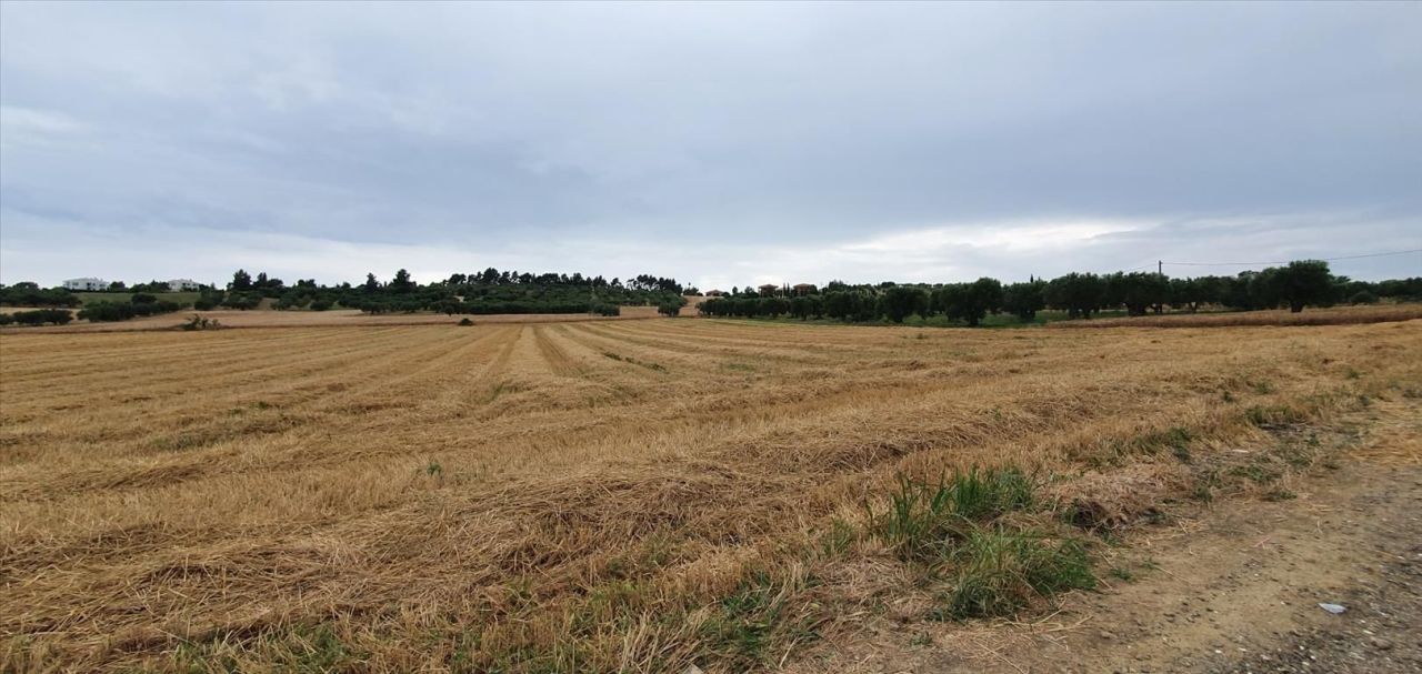 Grundstück in Kassandra, Griechenland, 9 900 m² - Foto 2