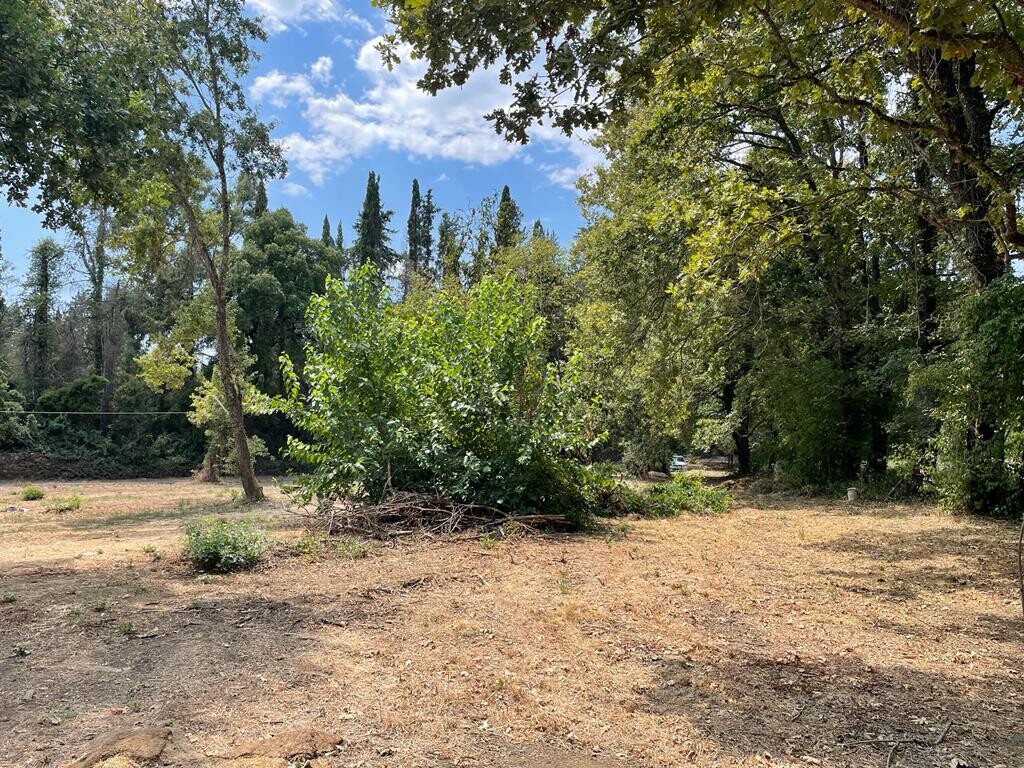 Land in Corfu, Greece, 4 850 m² - picture 2