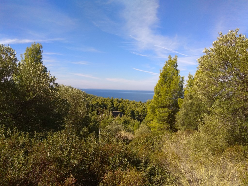 Terreno a Sithonia, Grecia, 7 250 m2 - foto 2