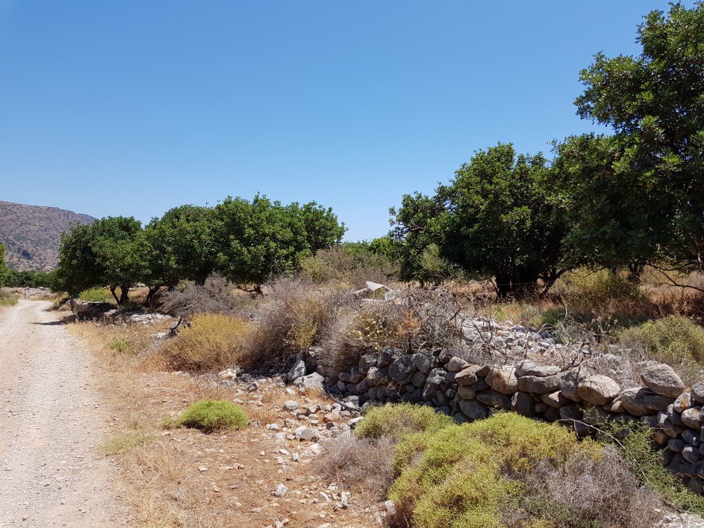 Terreno en Heraclión, Grecia, 8 000 m² - imagen 2