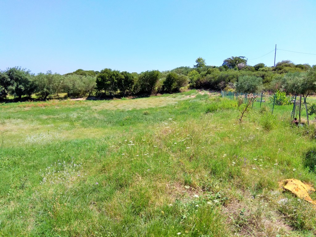 Land in Chalkidiki, Greece, 4 300 m² - picture 2