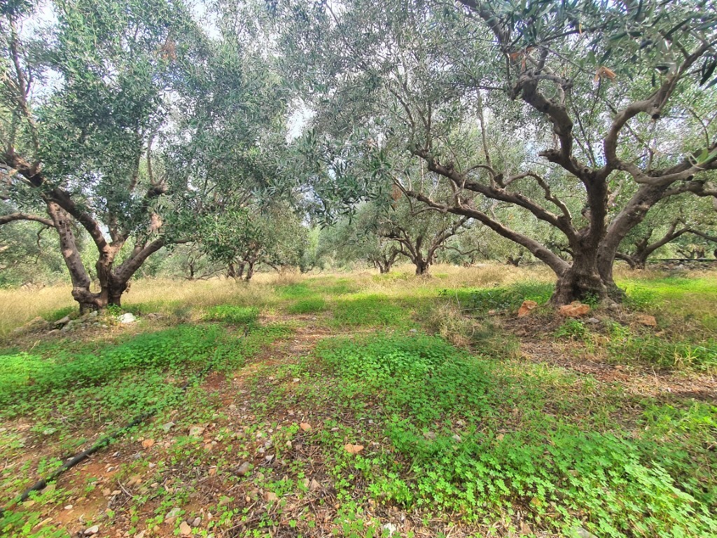 Terrain à Héraklion, Grèce, 1 200 m² - image 2