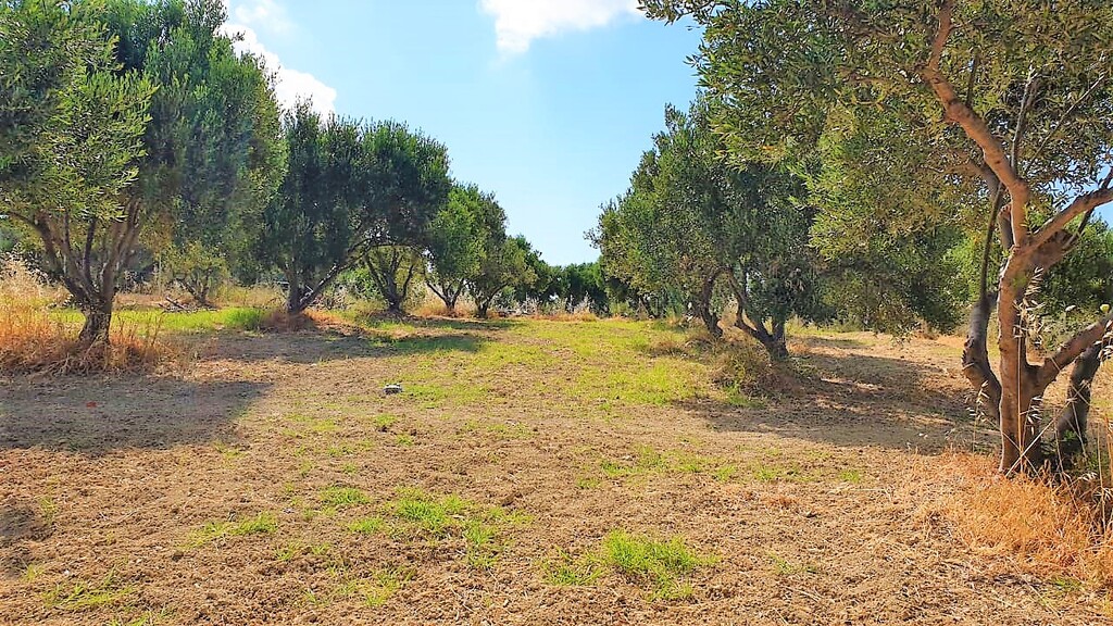 Terreno a Heraklion, Grecia, 3 300 m2 - foto 2