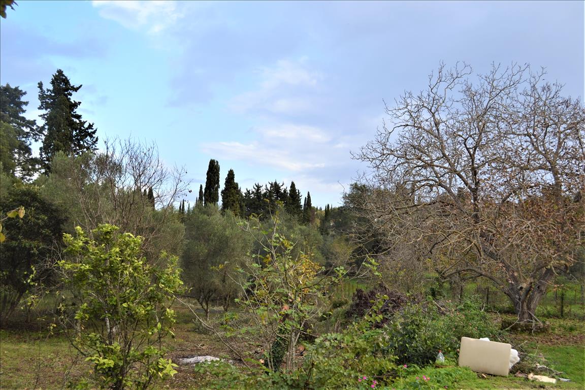 Terreno a Corfù, Grecia, 10 000 m2 - foto 2