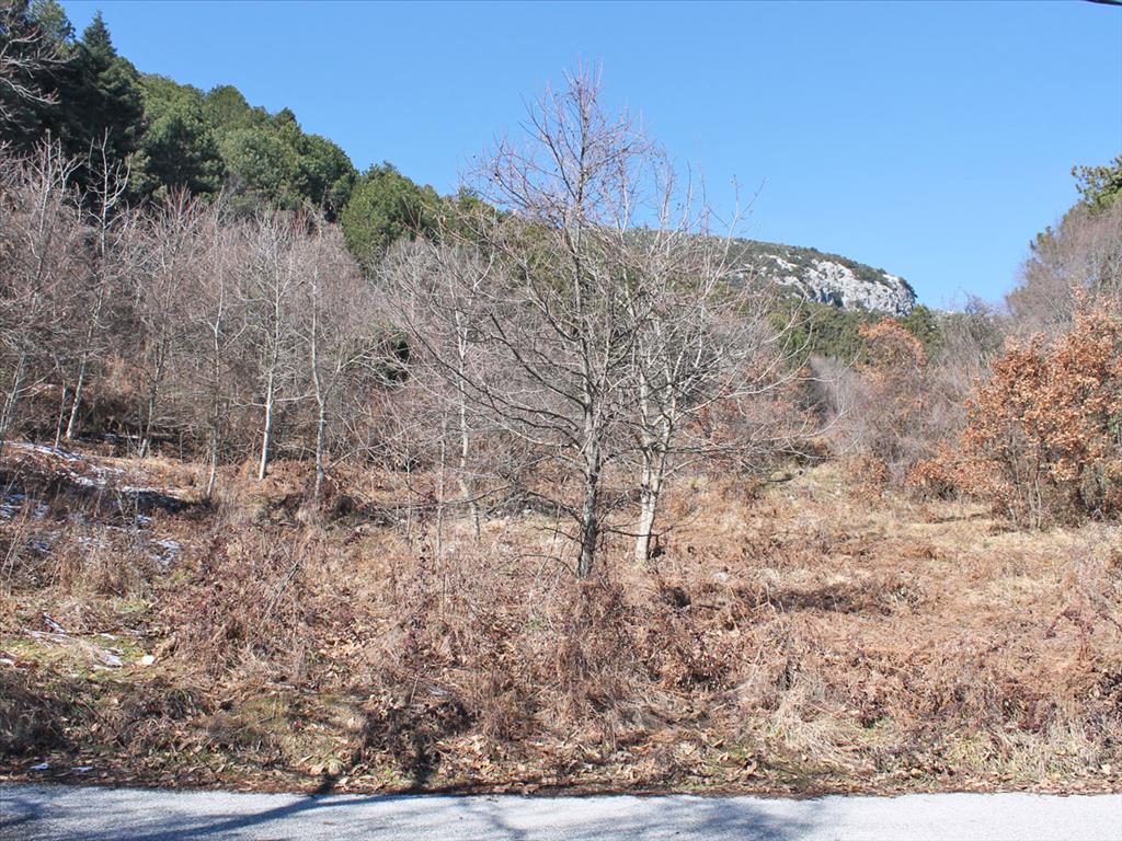Terreno a Olympiaki Akti, Grecia, 5 500 m2 - foto 2