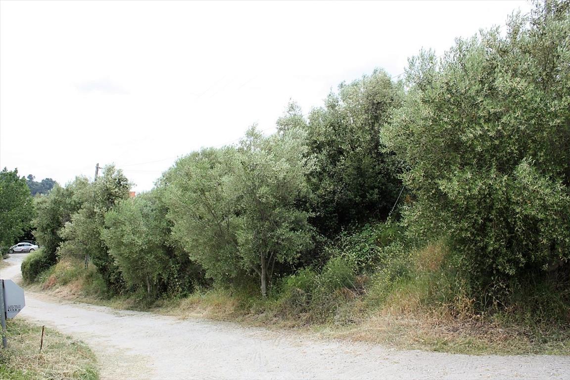 Terreno en Sitonia, Grecia, 6 000 m² - imagen 2