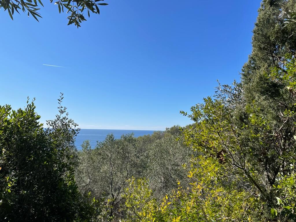 Grundstück in Korfu, Griechenland, 35 000 m² - Foto 2