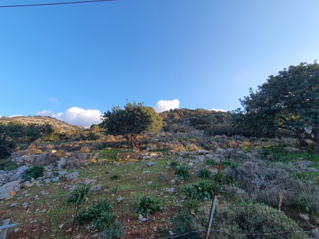 Land in Heraklion, Greece, 4 300 m² - picture 2