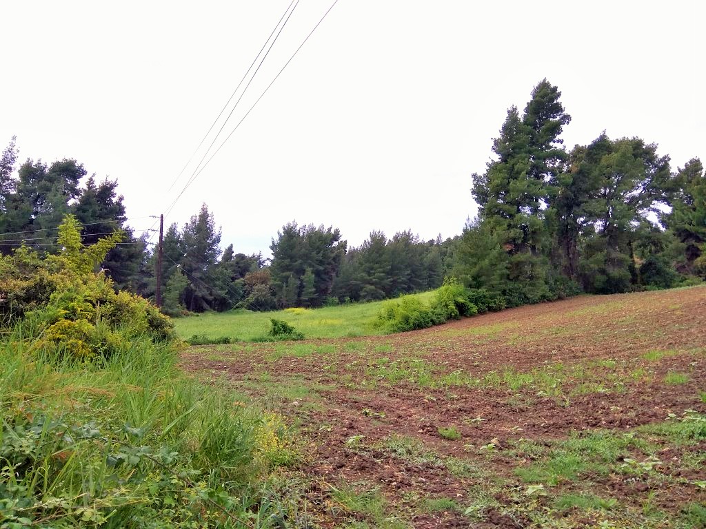 Grundstück in Kassandra, Griechenland, 28 000 m² - Foto 2