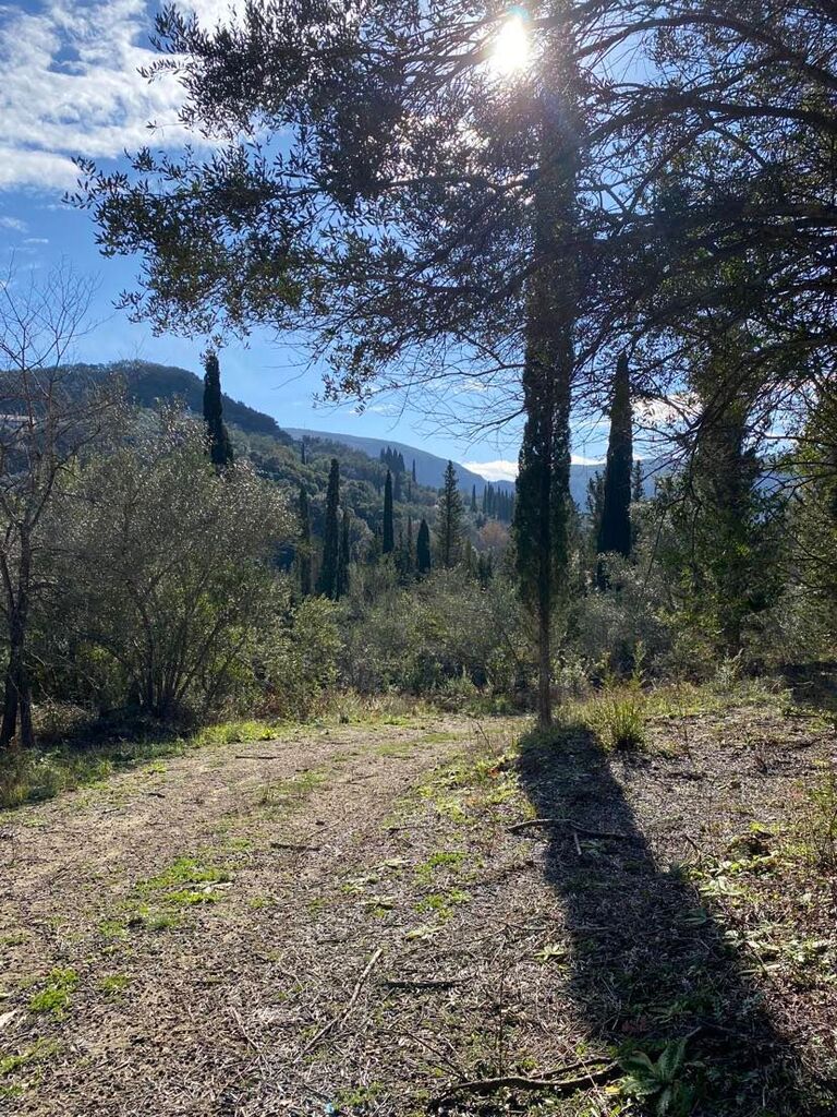 Grundstück in Korfu, Griechenland, 95 095 m² - Foto 2