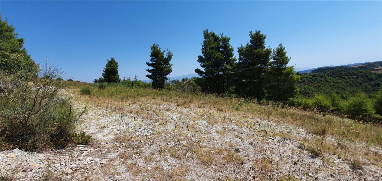 Grundstück in Kassandra, Griechenland, 15 000 m² - Foto 2