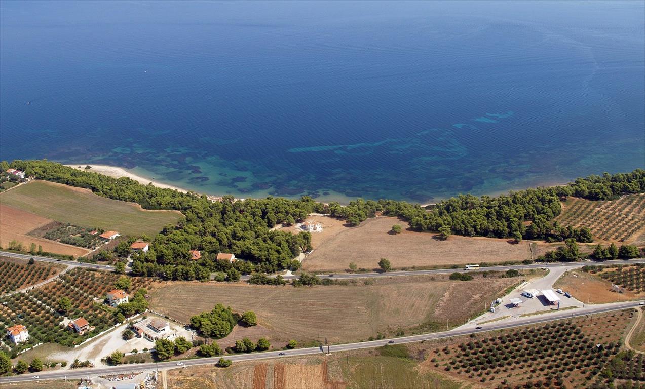 Terreno en Kassandra, Grecia, 30 000 m² - imagen 2