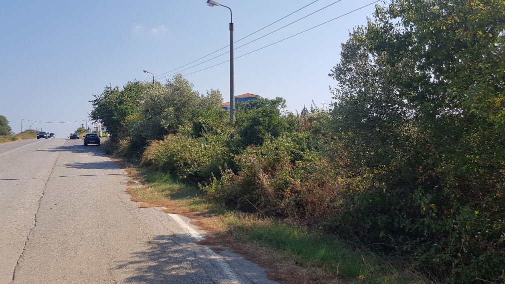 Land in Kassandra, Greece, 3 255 m² - picture 2