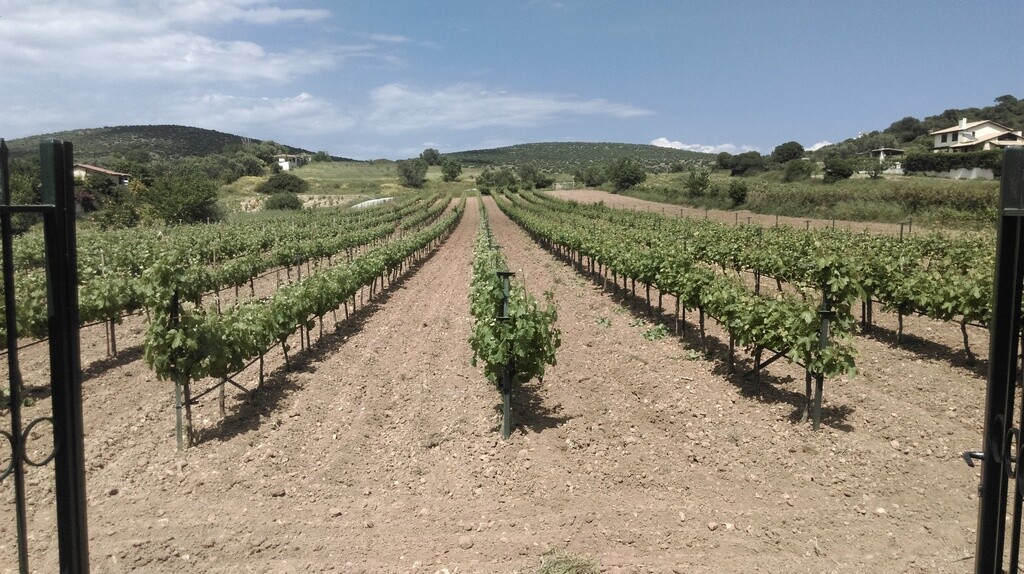 Haus in Attika, Griechenland, 375 m² - Foto 2