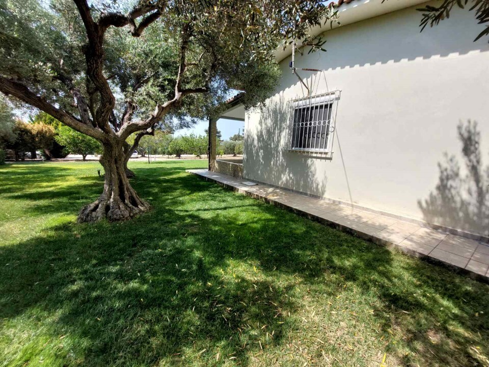 Land in Sithonia, Greece, 19 000 m² - picture 2