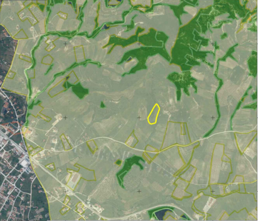 Land in Sithonia, Greece, 5 915 m² - picture 2