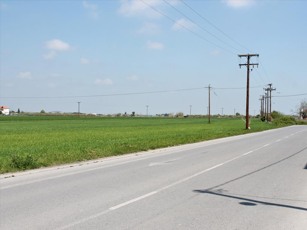 Terreno a Olympiaki Akti, Grecia, 4 500 m2 - foto 2