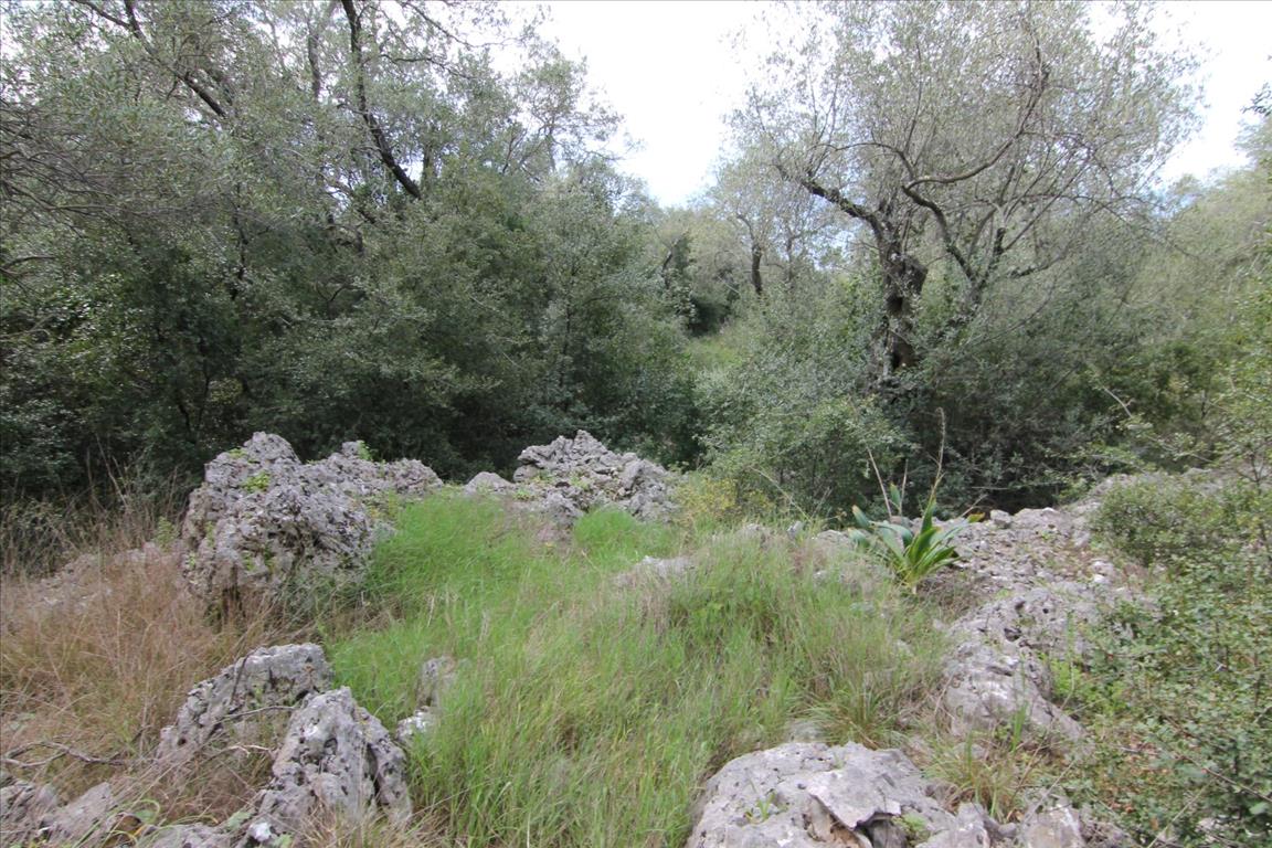 Land in Corfu, Greece, 8 000 m² - picture 2