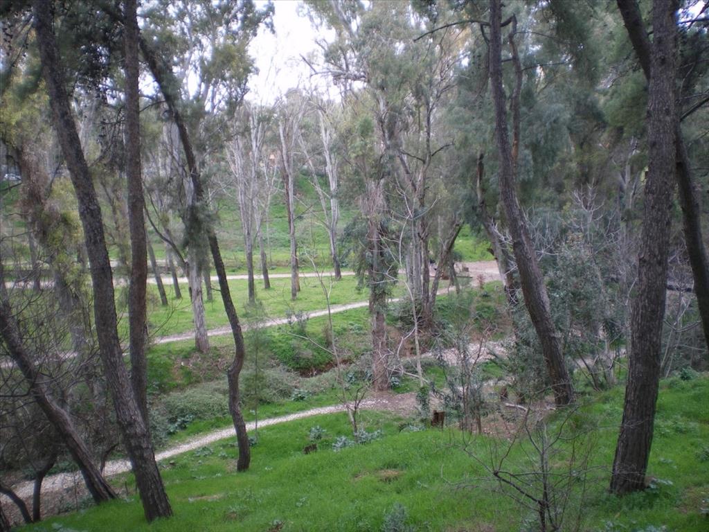 Land in Athens, Greece, 273 m² - picture 2