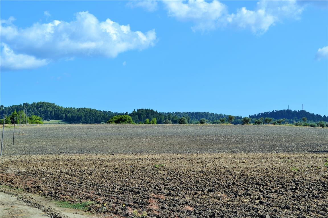 Grundstück in Kassandra, Griechenland, 13 000 m² - Foto 2