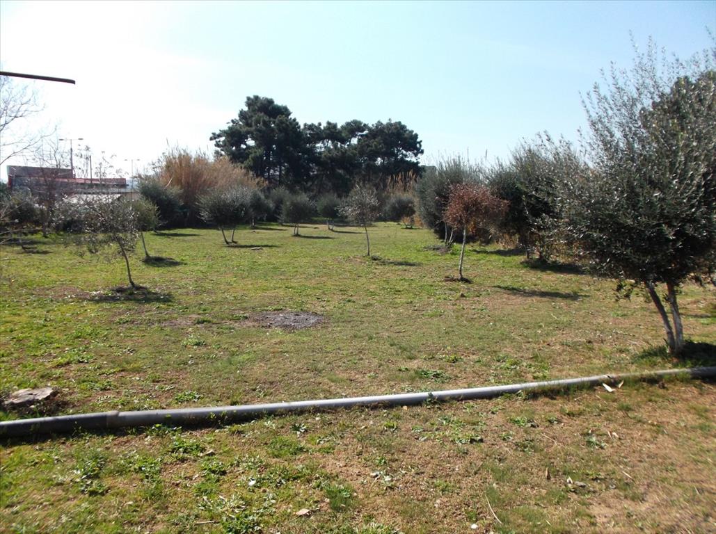 Terreno ad Atene, Grecia, 2 768 m2 - foto 2