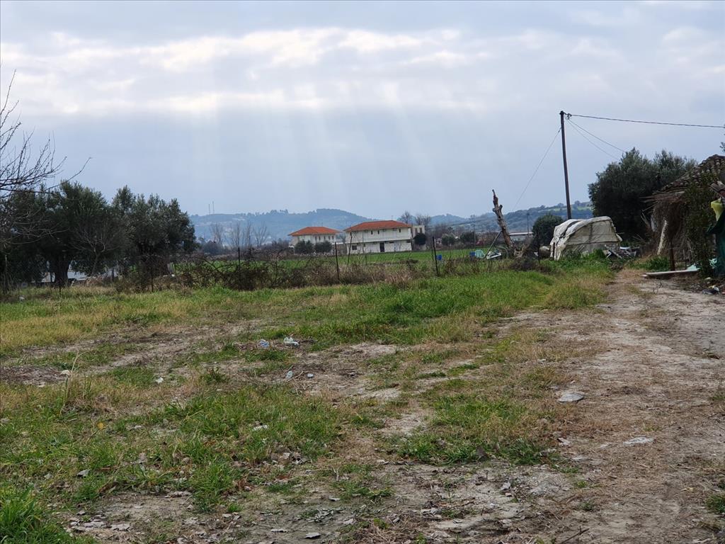 Terrain à Kassandra, Grèce, 4 000 m² - image 2