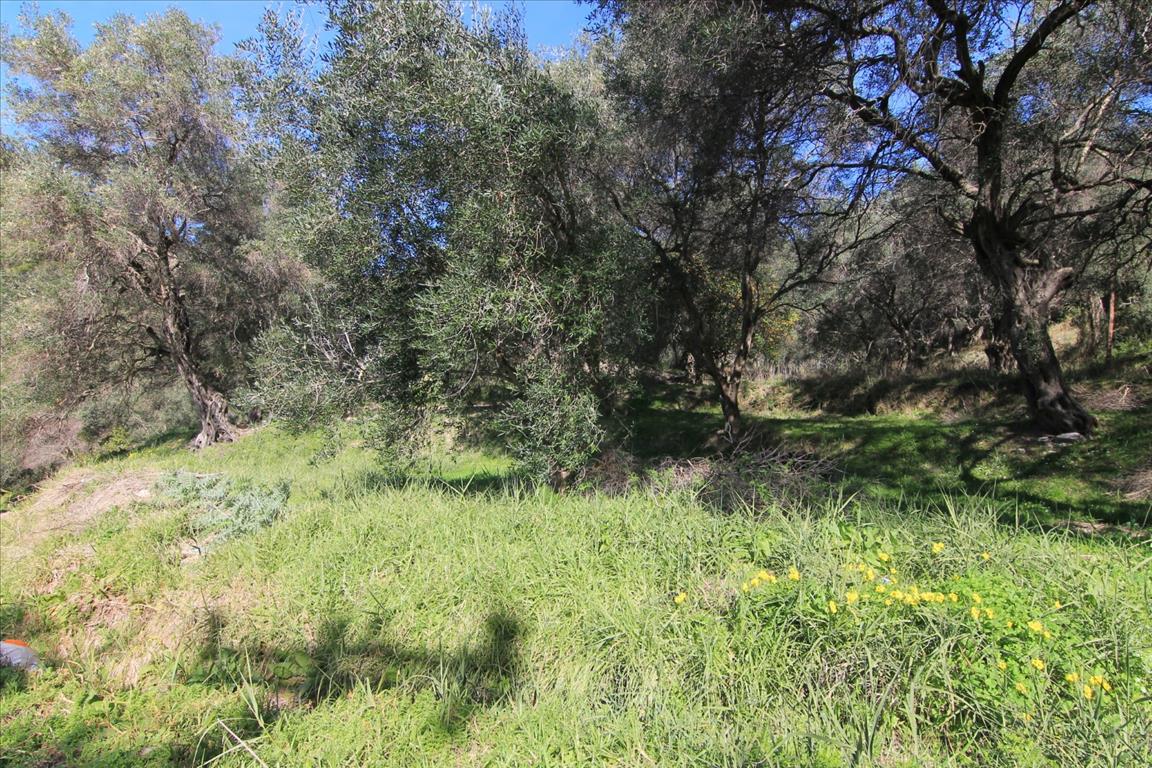 Terreno a Corfù, Grecia, 6 000 m2 - foto 2