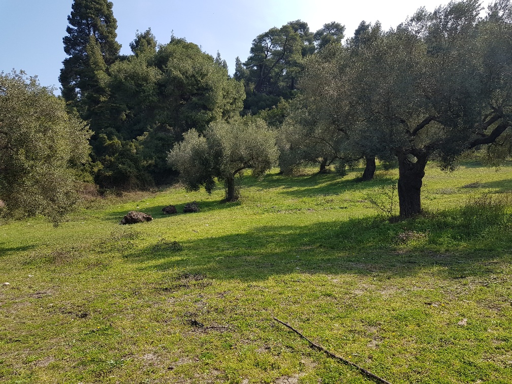 Terrain à Kassandra, Grèce, 4 300 m² - image 2