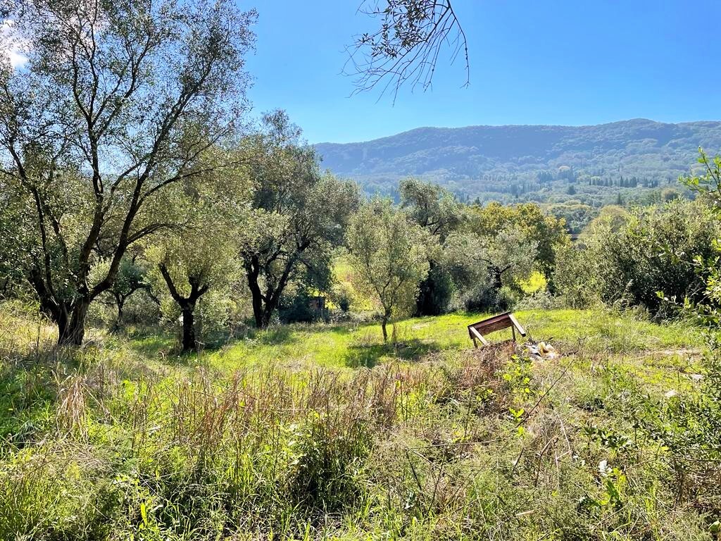Terrain à Corfou, Grèce, 5 500 m² - image 2