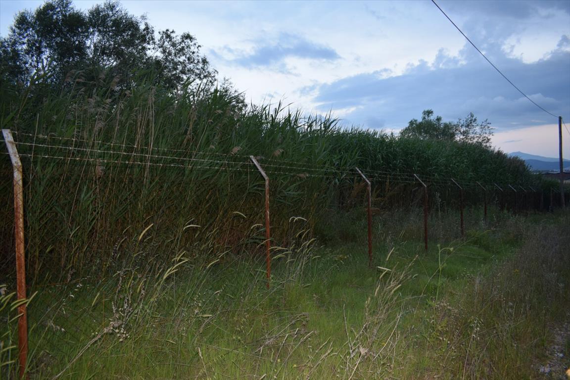 Terreno a Salonicco, Grecia, 5 870 m2 - foto 2
