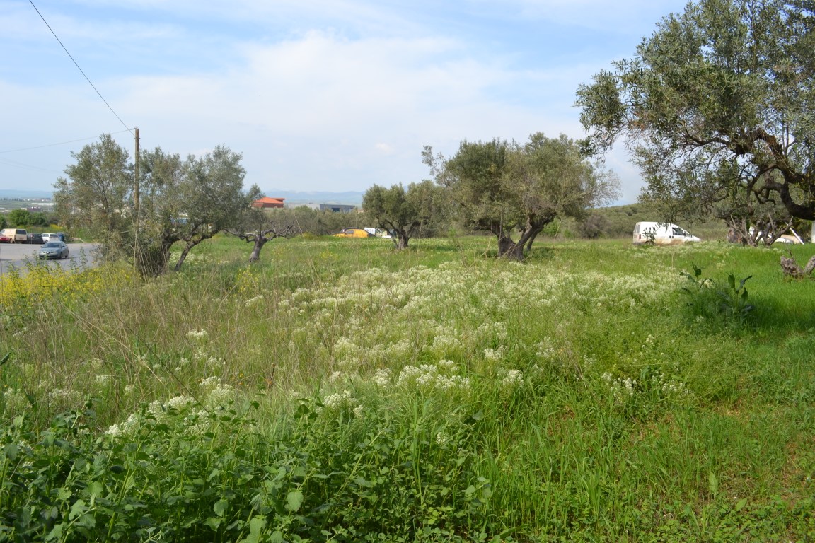 Terrain en Chalcidique, Grèce, 6 100 m² - image 2