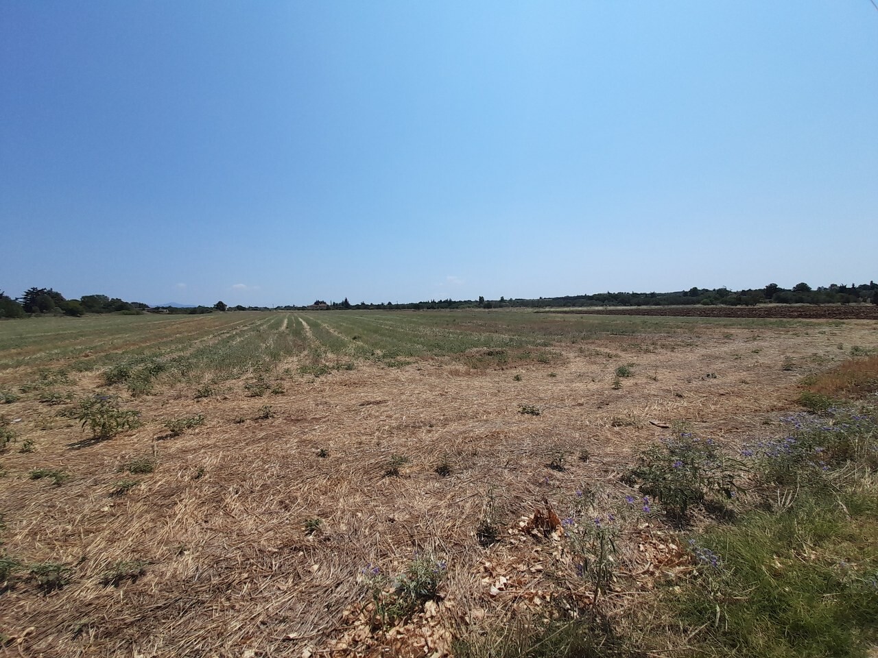 Land in Thessaloniki, Greece, 11 100 m² - picture 2