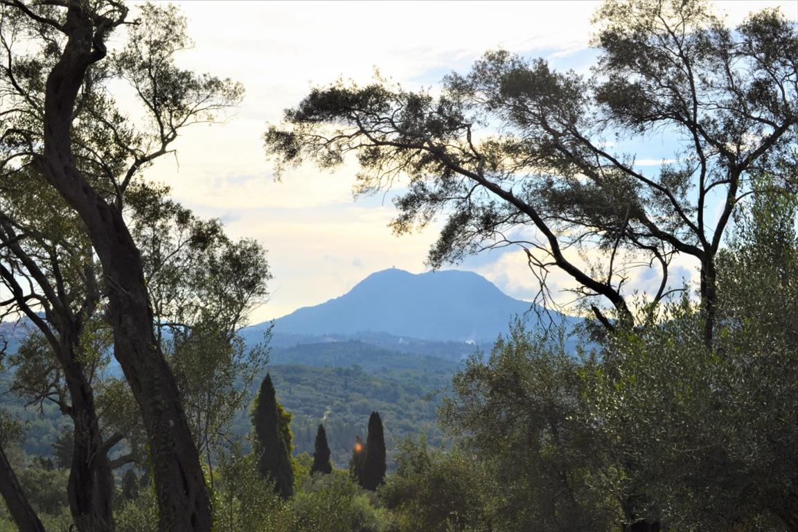 Terreno en Corfú, Grecia, 3 136 m² - imagen 2