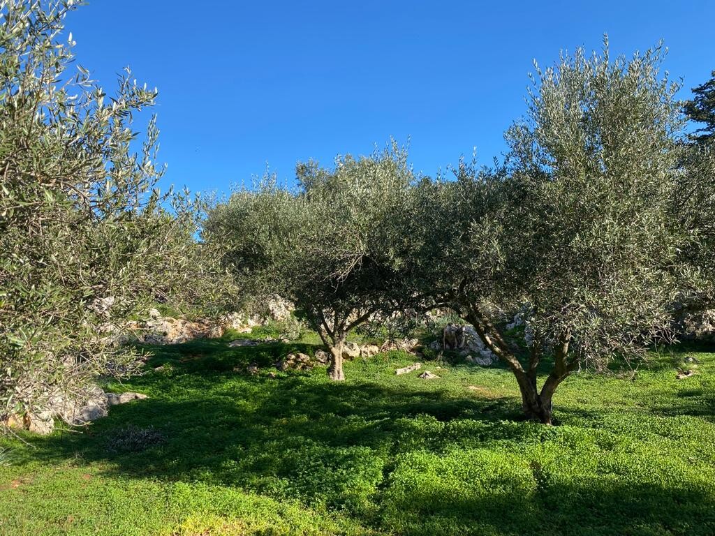 Grundstück in Heraklion, Griechenland, 20 000 m² - Foto 2