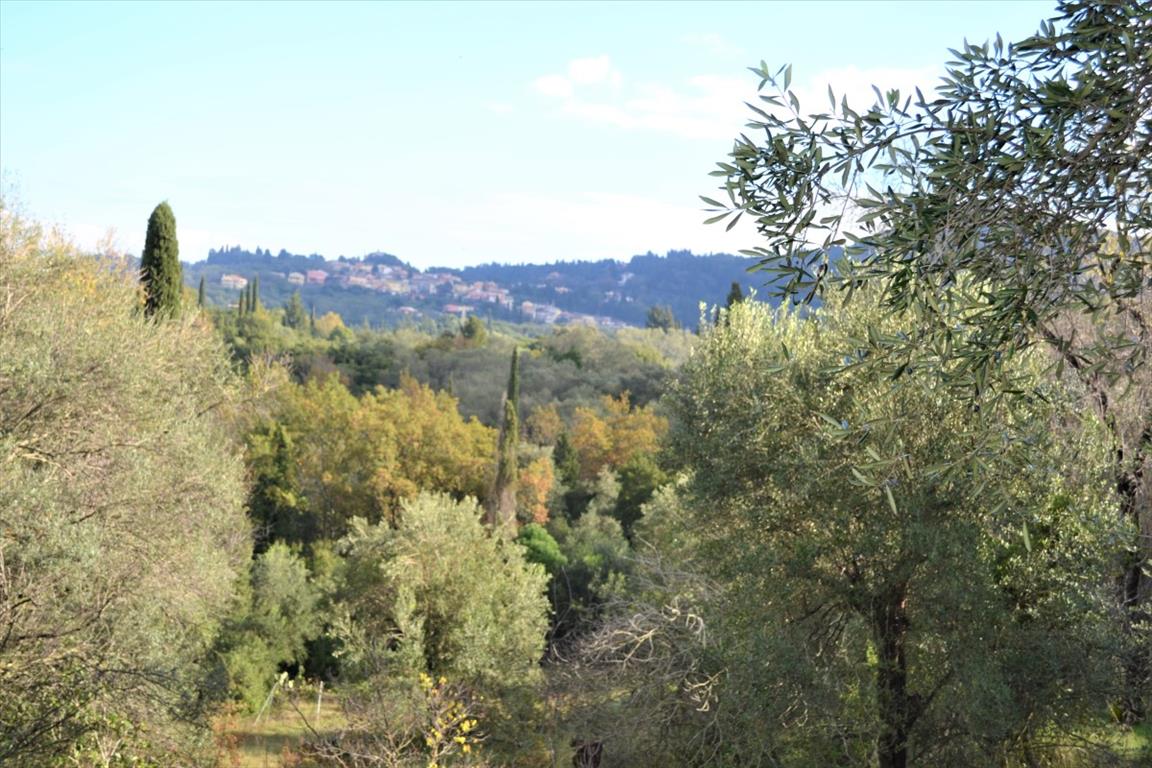Terrain à Corfou, Grèce, 5 500 m² - image 2