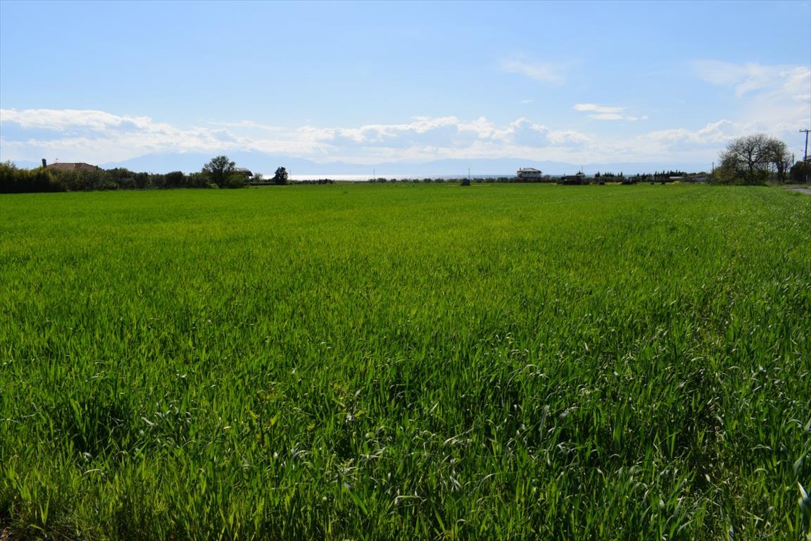 Land in Thessaloniki, Greece, 27 000 m² - picture 2