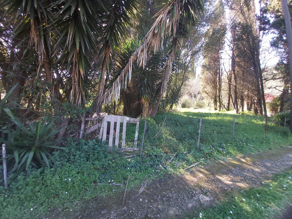 Land in Corfu, Greece, 2 770 m² - picture 2