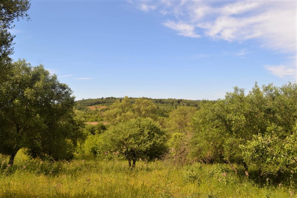 Land in Corfu, Greece, 12 044 m² - picture 2