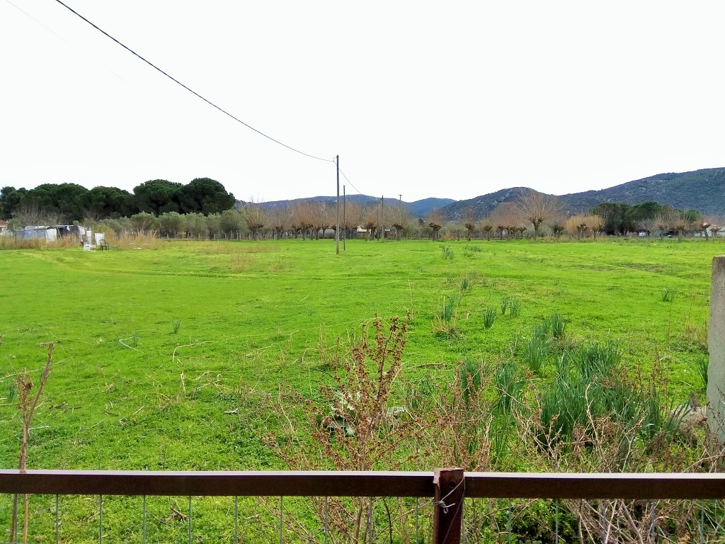 Grundstück in Sithonia, Griechenland, 2 650 m² - Foto 2