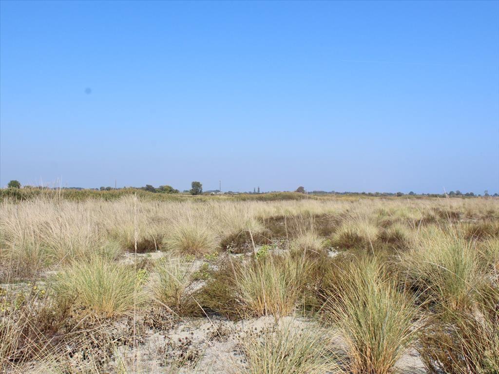 Land in Olympiaki Akti, Greece, 10 000 m² - picture 2