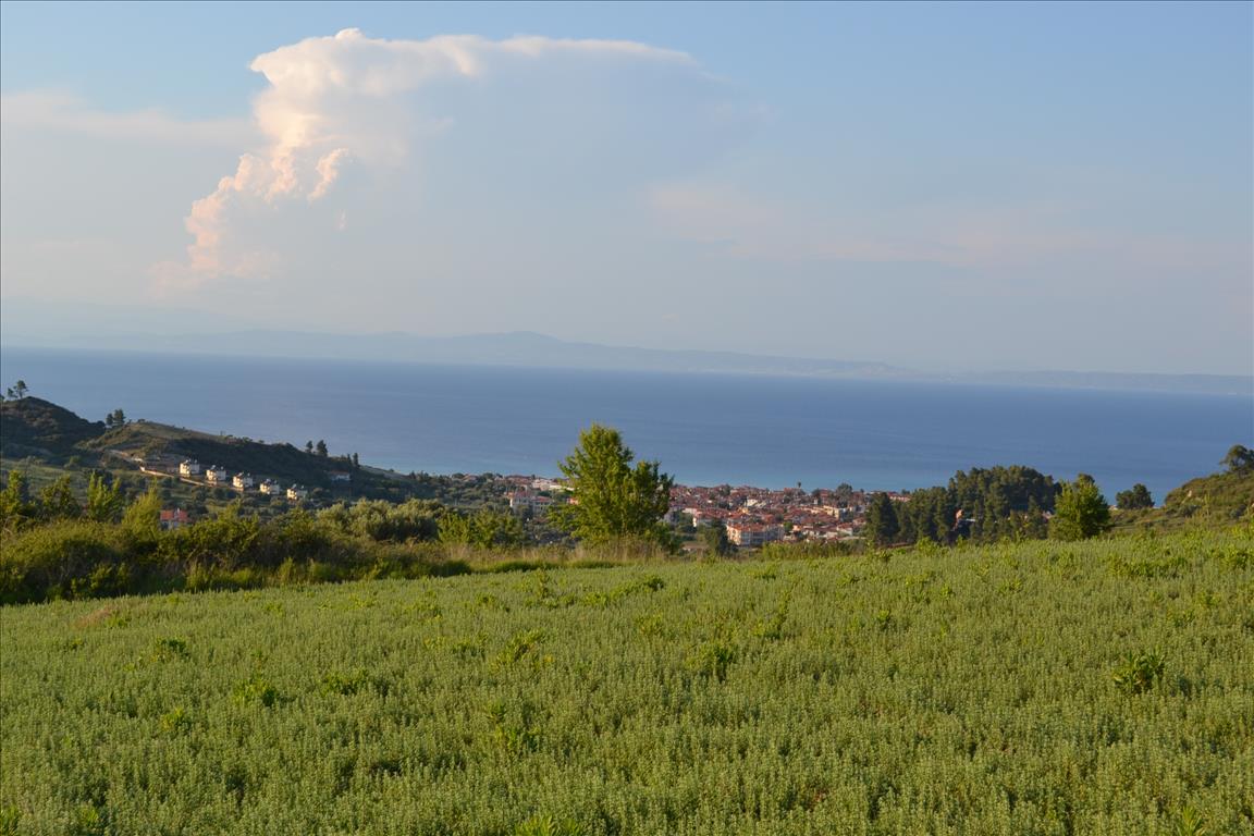 Grundstück in Kassandra, Griechenland, 15 400 m² - Foto 2