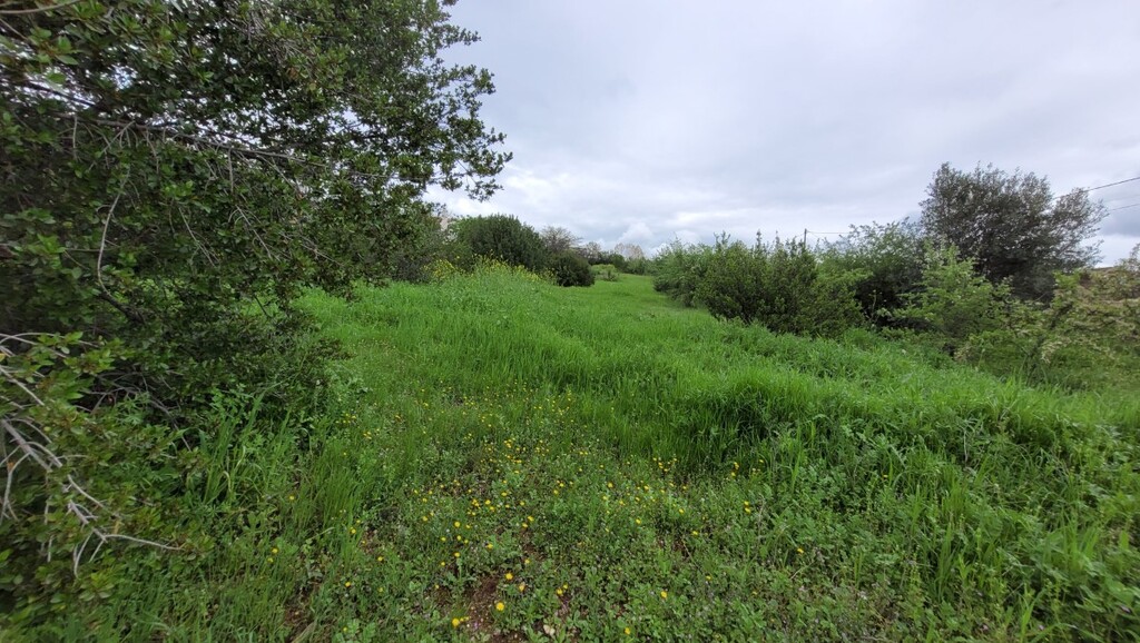 Terreno en Salónica, Grecia, 4 000 m² - imagen 2