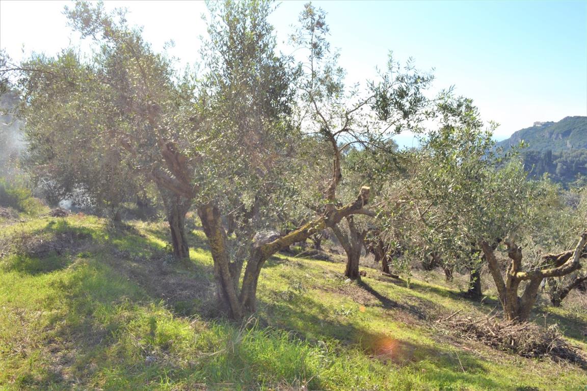 Terreno a Corfù, Grecia, 8 841 m2 - foto 2