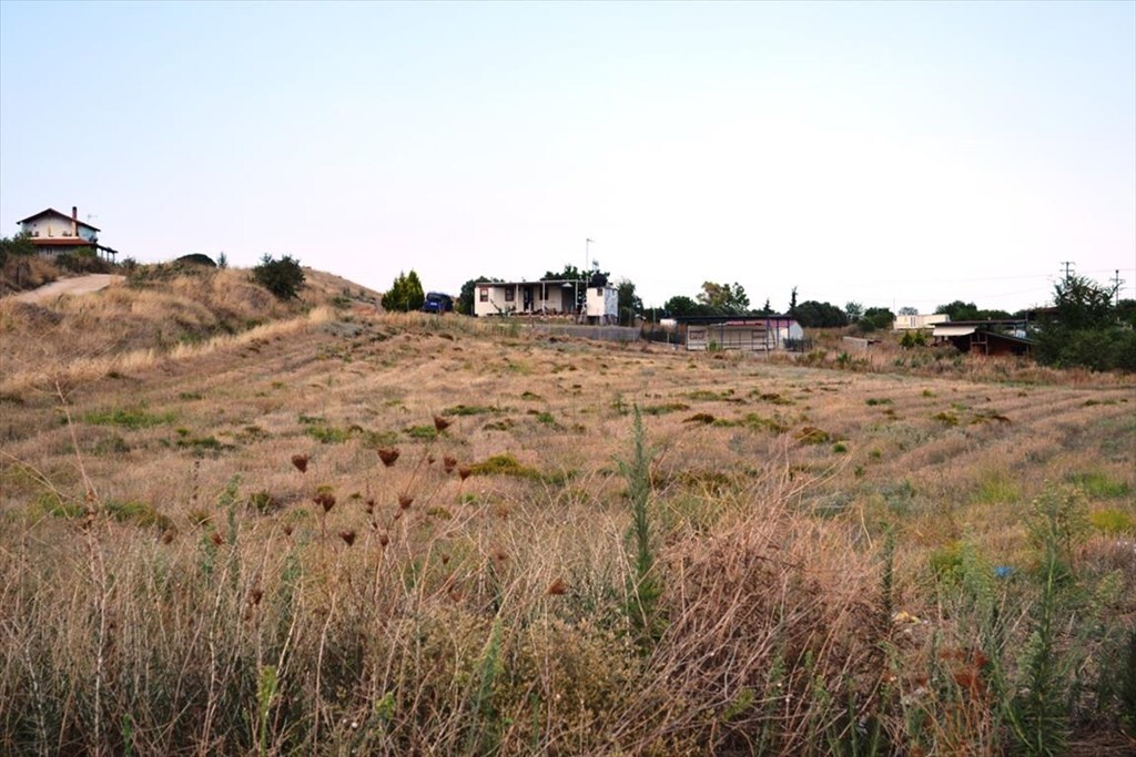 Terrain en Chalcidique, Grèce, 8 500 m² - image 2