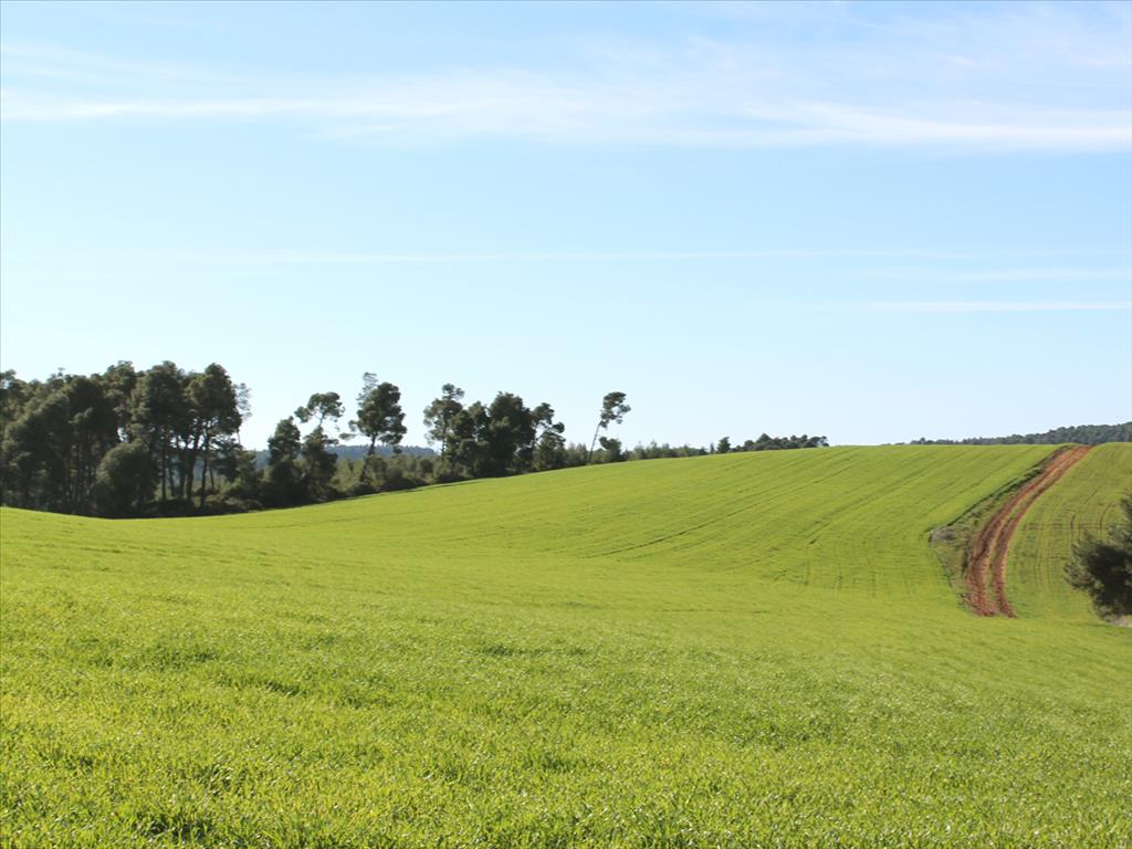 Terreno a Kassandra, Grecia, 103 500 m2 - foto 2